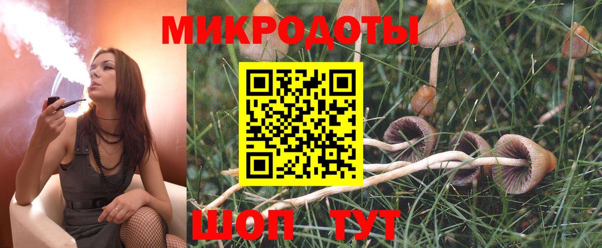 Гурьевск  Галлюциногенные грибы мухоморы  Вход с VPN  Псилоцибиновые грибы MAGIC MUSHROOMS 