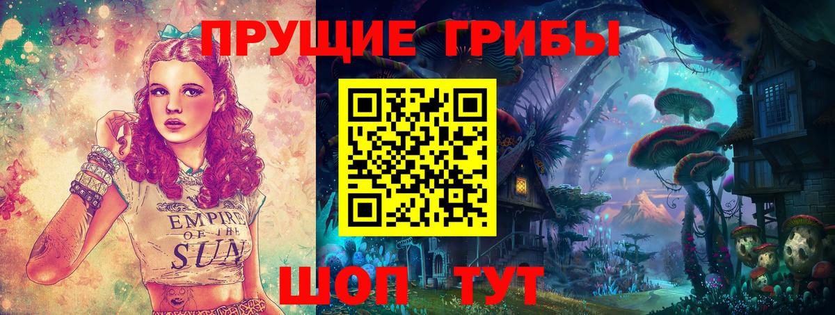 Галлюциногенные грибы Psilocybine cubensis Гурьевск